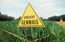 Gen-Mais - NEIN DANKE!